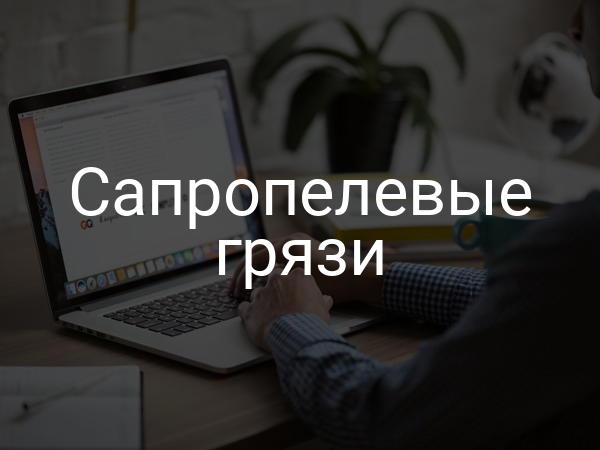 Сапропелевые грязи