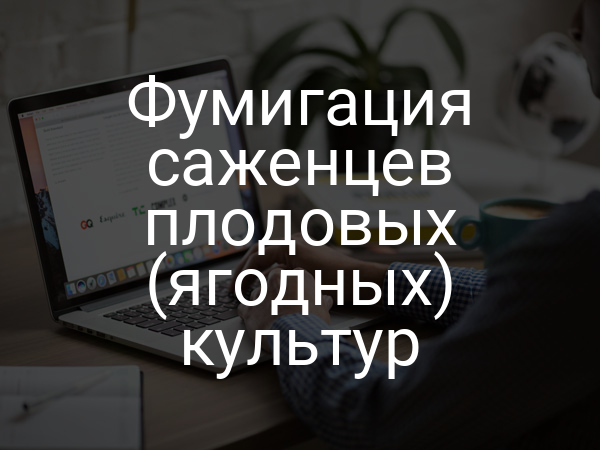 Фумигация саженцев плодовых (ягодных) культур