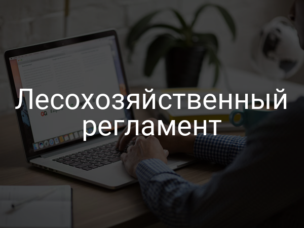 Лесохозяйственный регламент