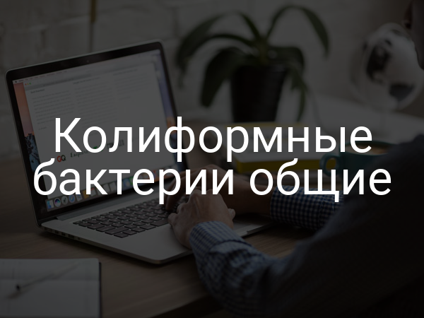 Колиформные бактерии общие