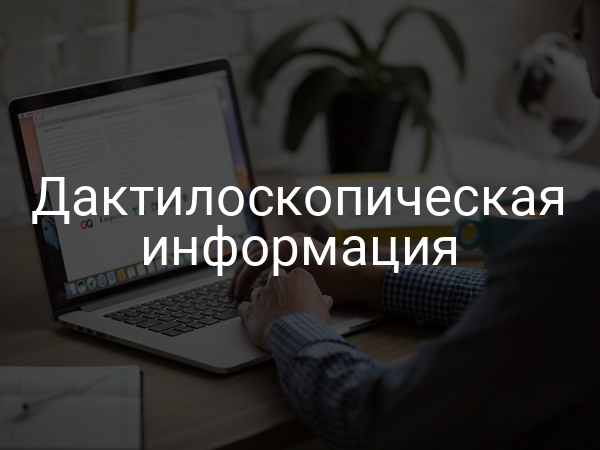 Дактилоскопическая информация