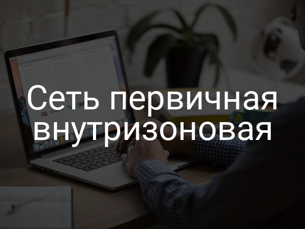 Сеть первичная внутризоновая