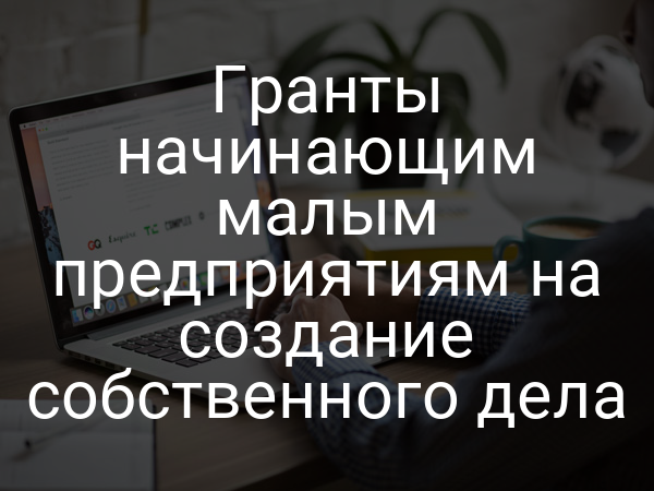 Гранты начинающим малым предприятиям на создание собственного дела
