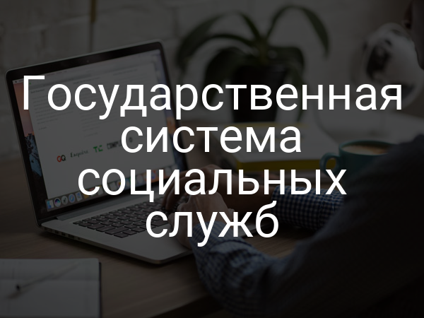 Государственная система социальных служб