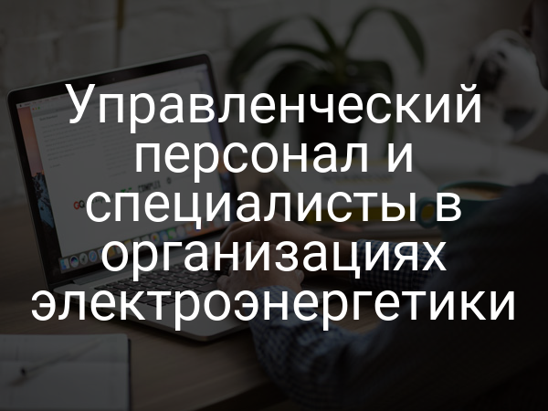 Управленческий персонал и специалисты в организациях электроэнергетики