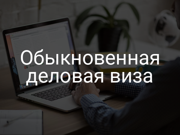 Обыкновенная деловая виза