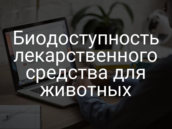 Биодоступность лекарственного средства для животных