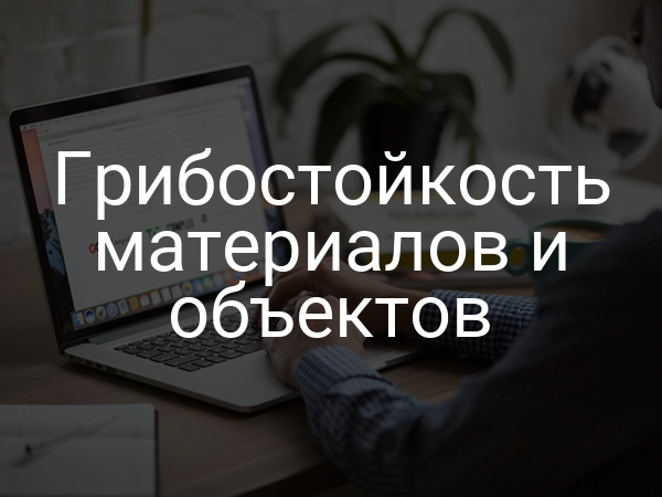 Грибостойкость материалов и объектов