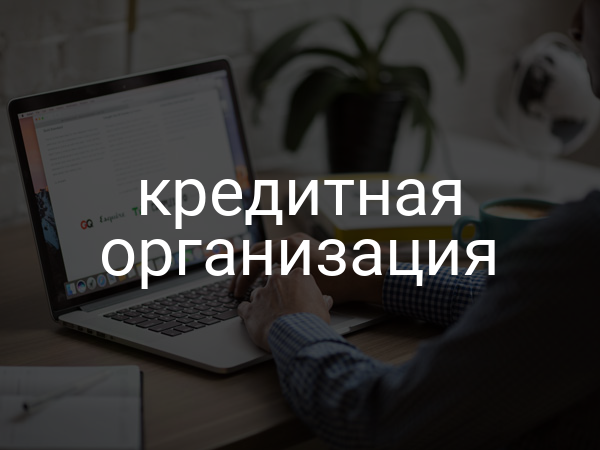 Кредитная организация
