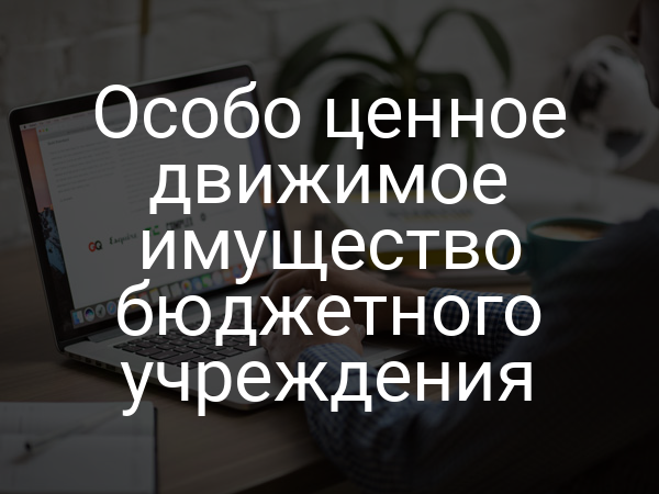 Особо ценное движимое имущество бюджетного учреждения