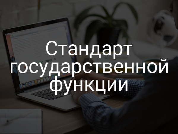 Стандарт государственной функции