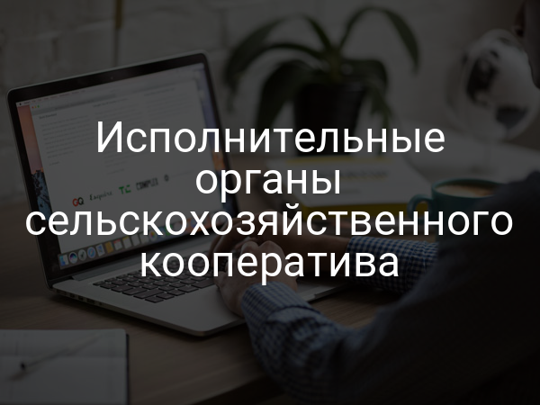 Исполнительные органы сельскохозяйственного кооператива