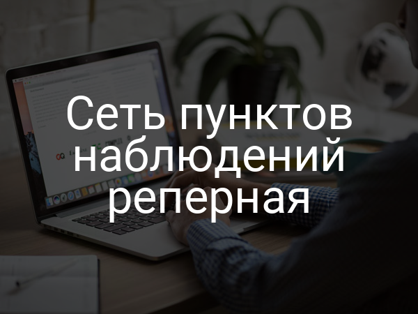 Сеть пунктов наблюдений реперная