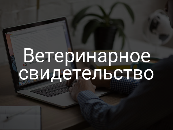 Ветеринарное свидетельство