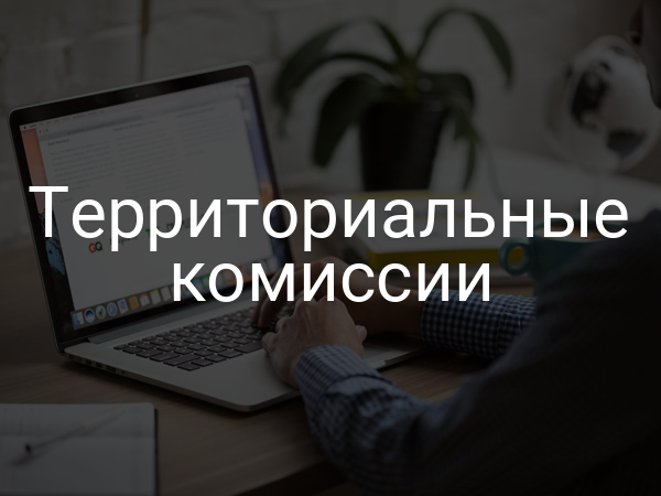 Территориальные комиссии