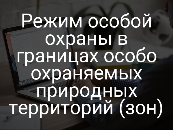 Режим особой охраны в границах особо охраняемых природных территорий (зон)