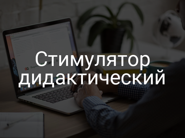 Стимулятор дидактический