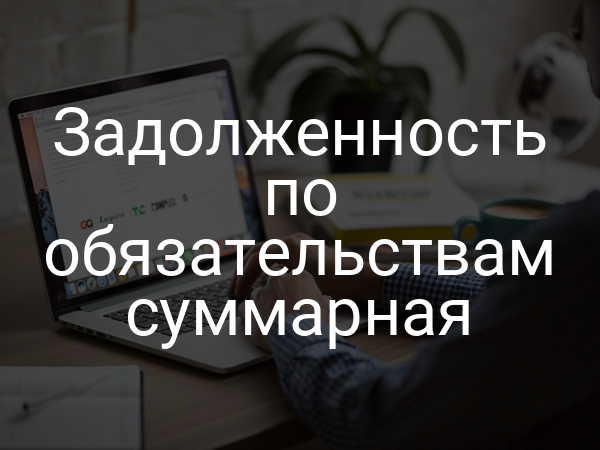 Задолженность по обязательствам суммарная