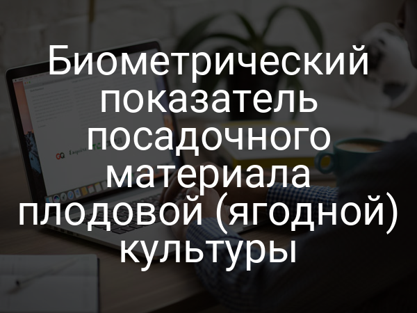 Биометрический показатель посадочного материала плодовой (ягодной) культуры