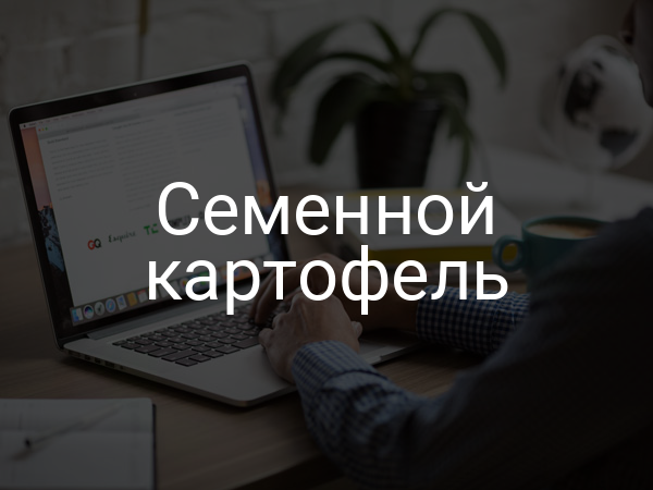 Семенной картофель