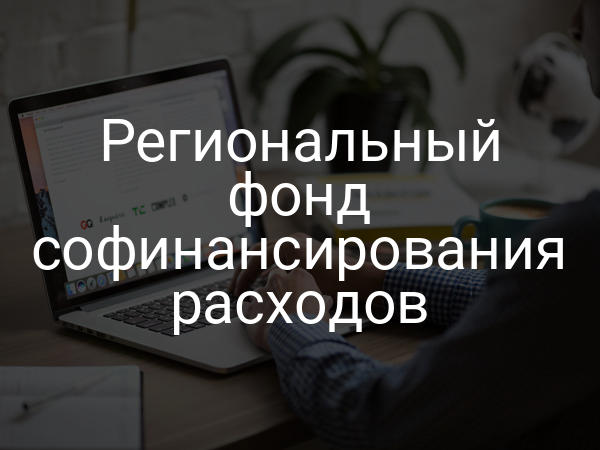Региональный фонд софинансирования расходов