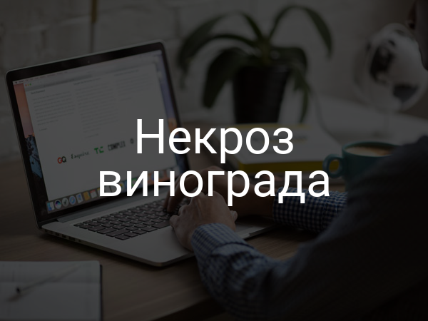 Некроз винограда