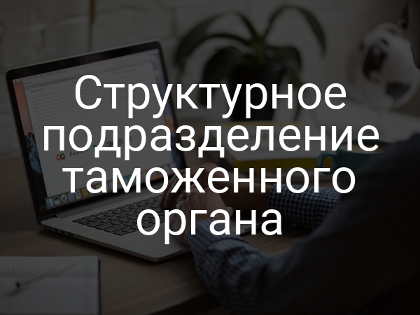 Структурное подразделение таможенного органа