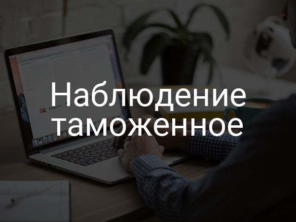 Наблюдение таможенное
