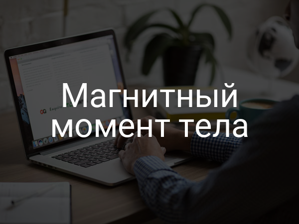 Магнитный момент тела