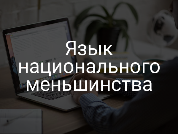 Язык национального меньшинства