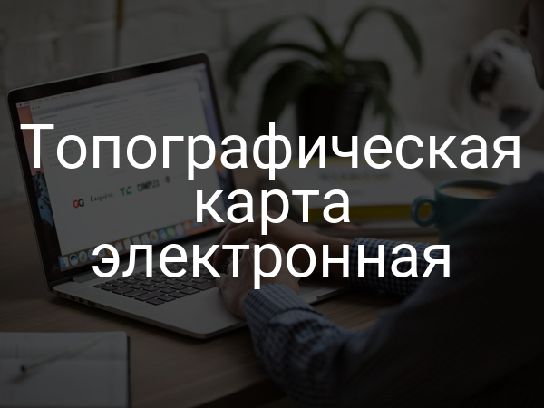 Топографическая карта электронная
