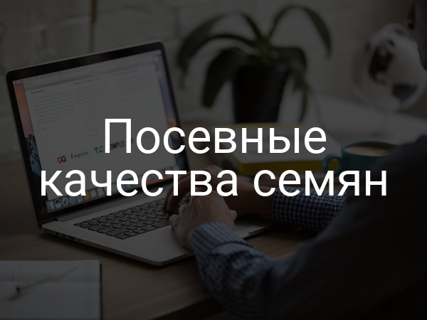 Посевные качества семян