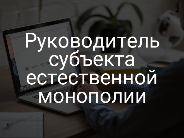 Руководитель субъекта естественной монополии