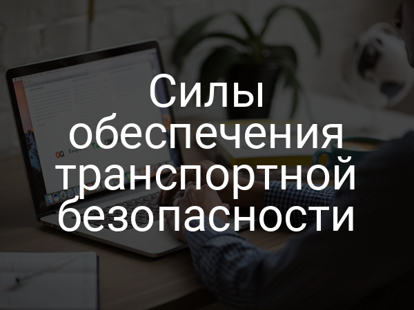 Силы обеспечения транспортной безопасности