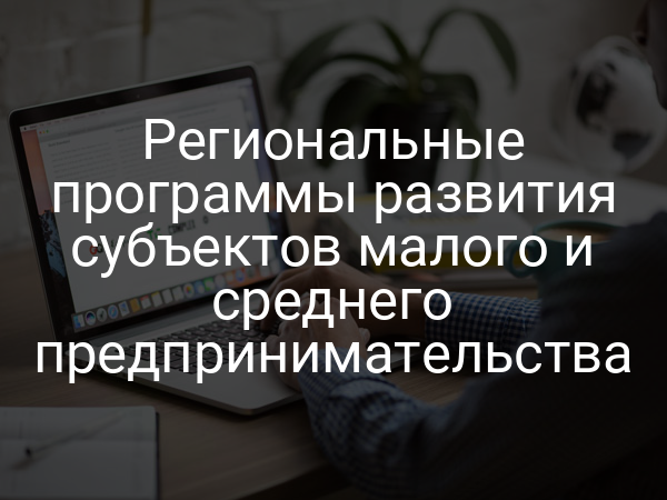 Региональные программы развития субъектов малого и среднего предпринимательства