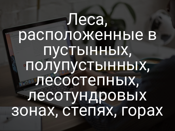 Леса, расположенные в пустынных, полупустынных, лесостепных, лесотундровых зонах, степях, горах