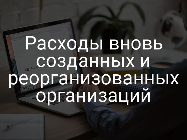 Расходы вновь созданных и реорганизованных организаций