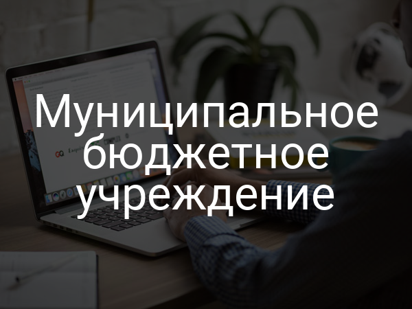 Муниципальное бюджетное учреждение