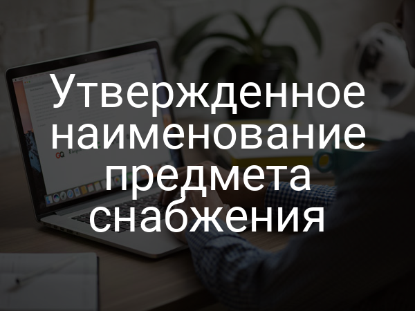 Утвержденное наименование предмета снабжения