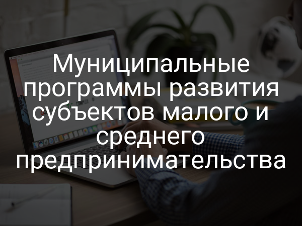 Муниципальные программы развития субъектов малого и среднего предпринимательства