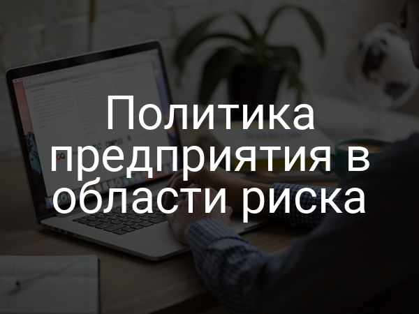 Политика предприятия в области риска