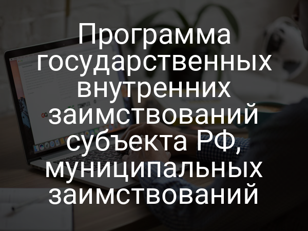 Программа государственных внутренних заимствований субъекта РФ, муниципальных заимствований