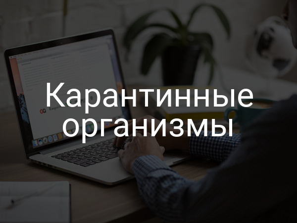 Карантинные организмы
