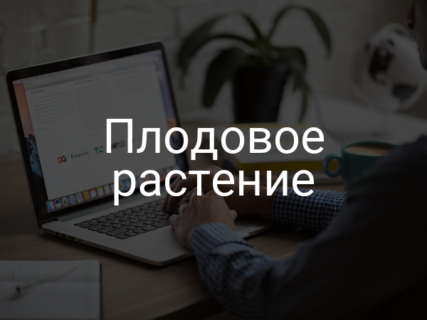 Плодовое растение