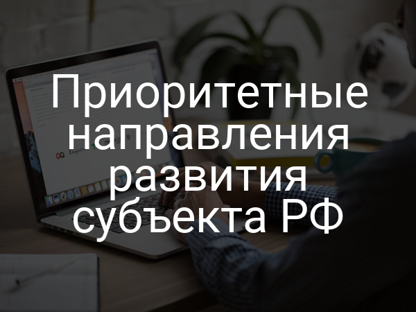 Приоритетные направления развития субъекта РФ