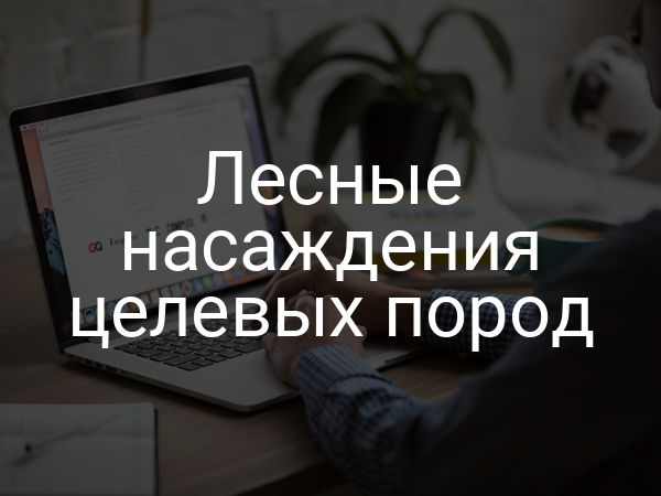 Лесные насаждения целевых пород