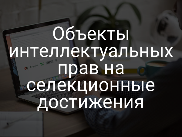 Объекты интеллектуальных прав на селекционные достижения