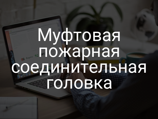 Муфтовая пожарная соединительная головка