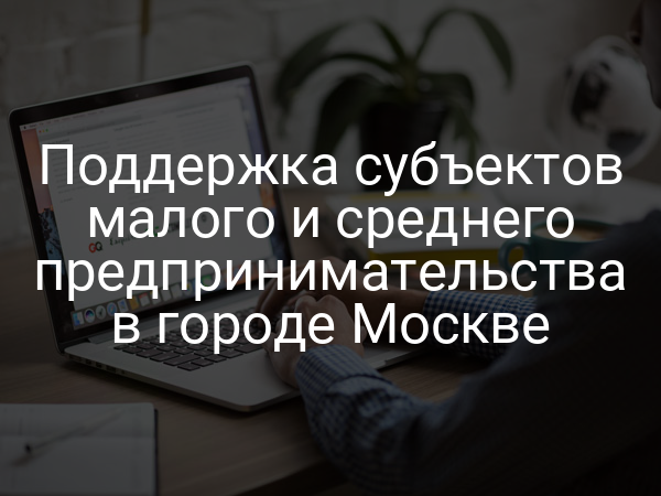 Поддержка субъектов малого и среднего предпринимательства в городе Москве