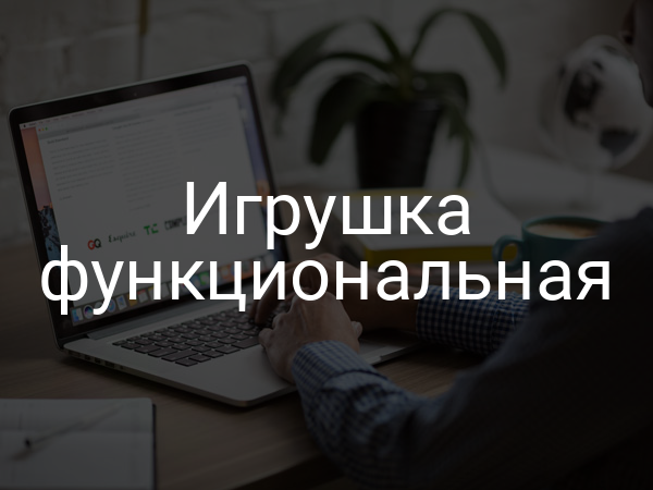 Игрушка функциональная